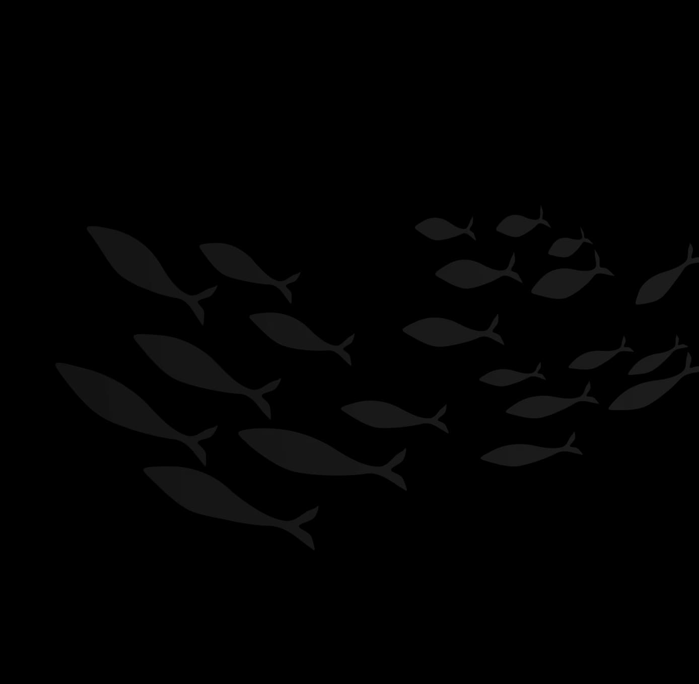 Fish decoration