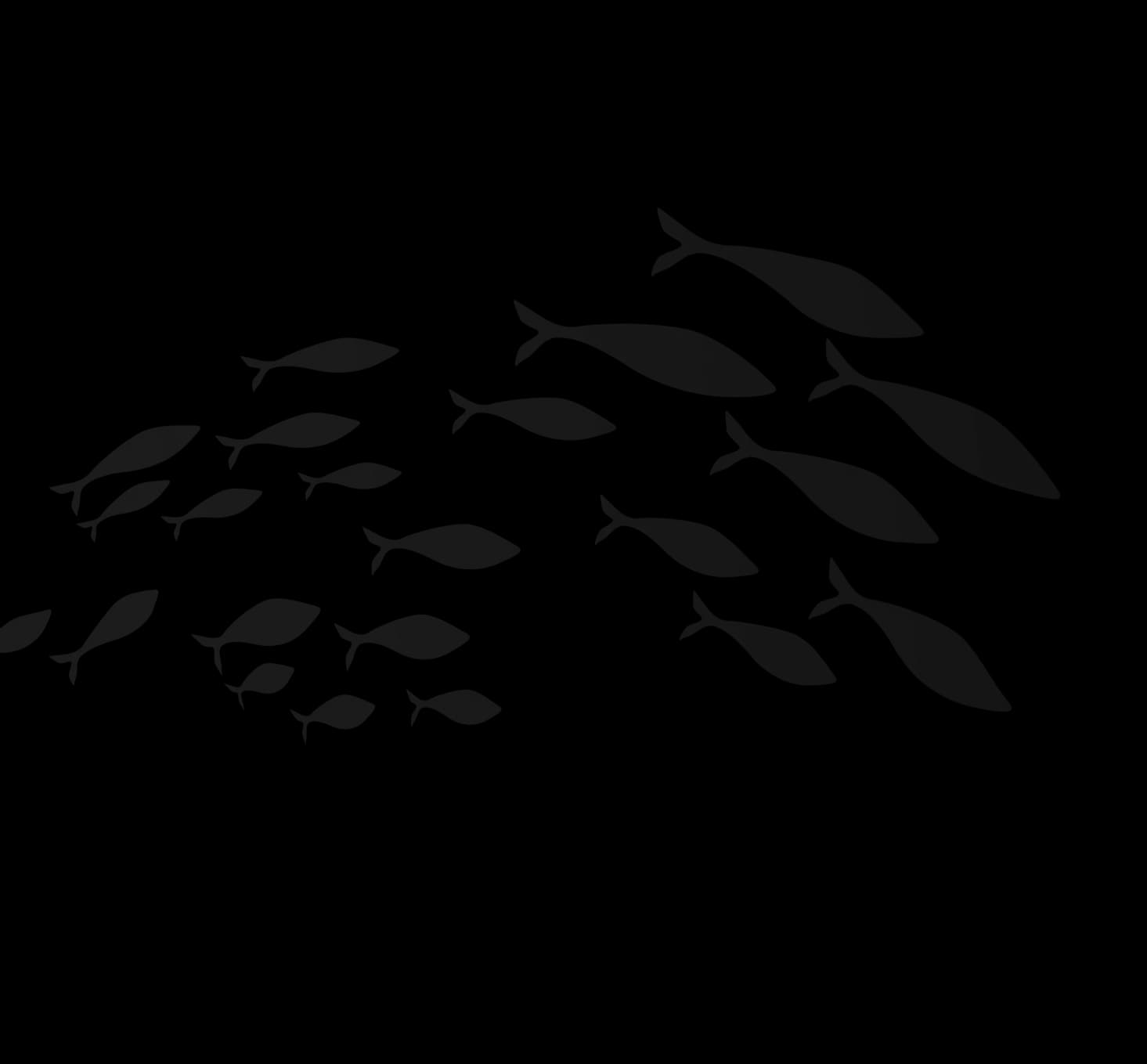 Fish decoration
