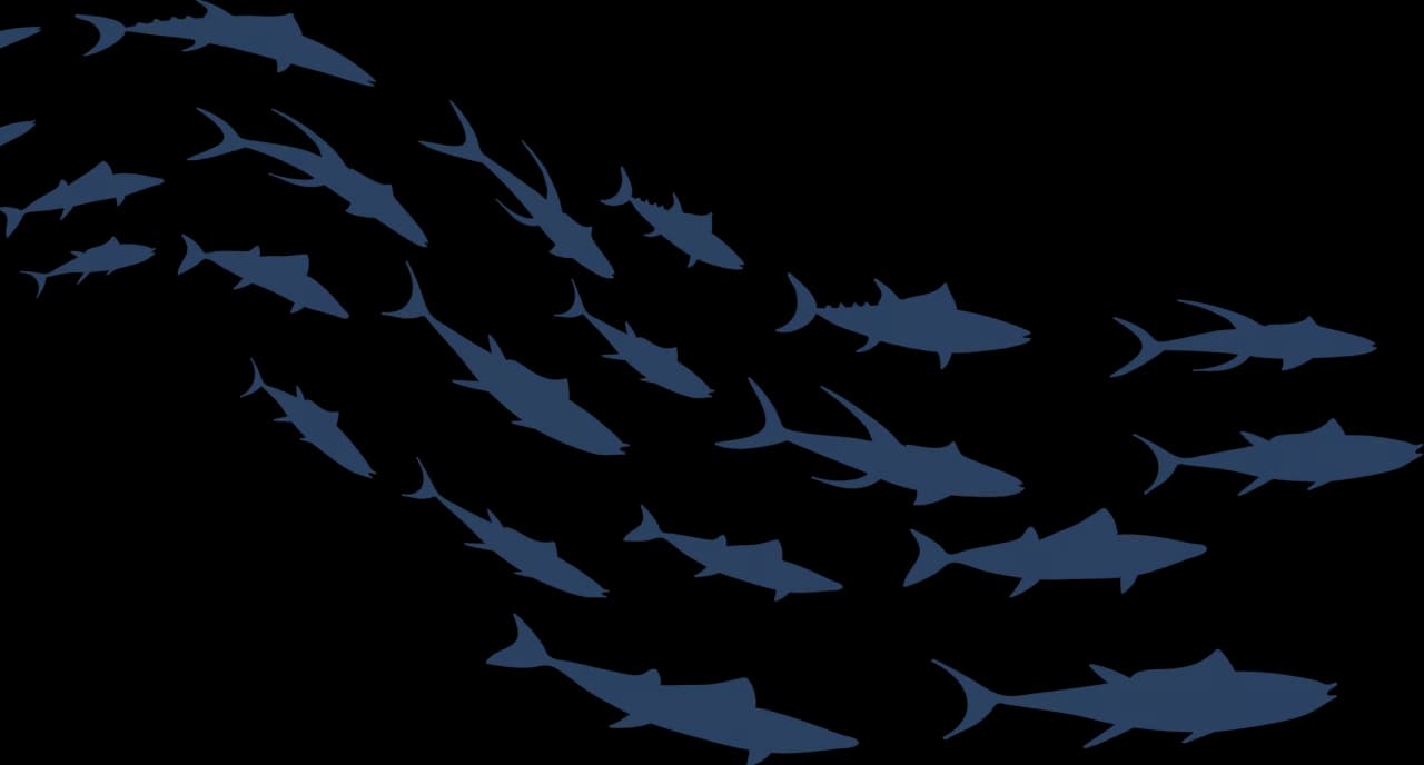 Fish decoration